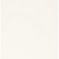 Ranger Tim Holtz Alcohol Ink Transulcent Yupo Paper 10 Sheets-5-inch x 7-inch,