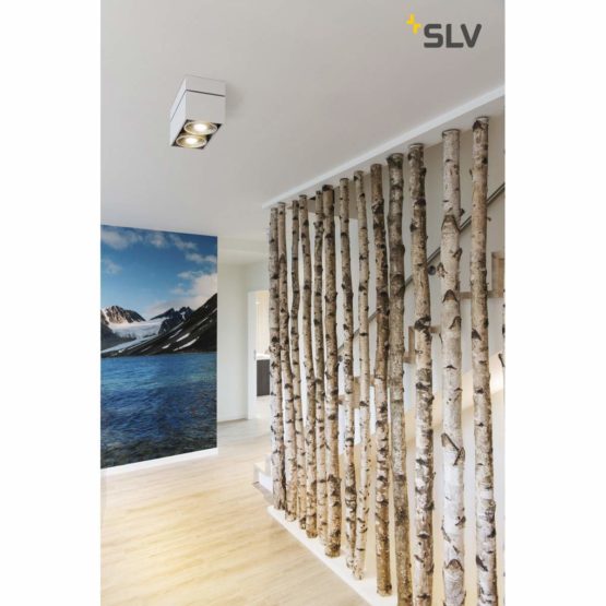 SLV Surface-Mounted Ceiling Light EVG for 1xT5 (13 / spot, floodlight, Ceiling spot, Ceiling Light, Surface-Mounted Light, Internal Lighting / GU10 75W White - Image 4