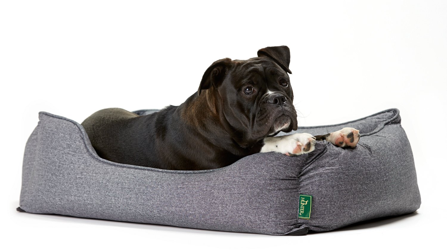 Hunter - Sofa Boston 60x50cm Gray, Grey, 60 x 50 x 17 cm (L x W x H) - Image 3
