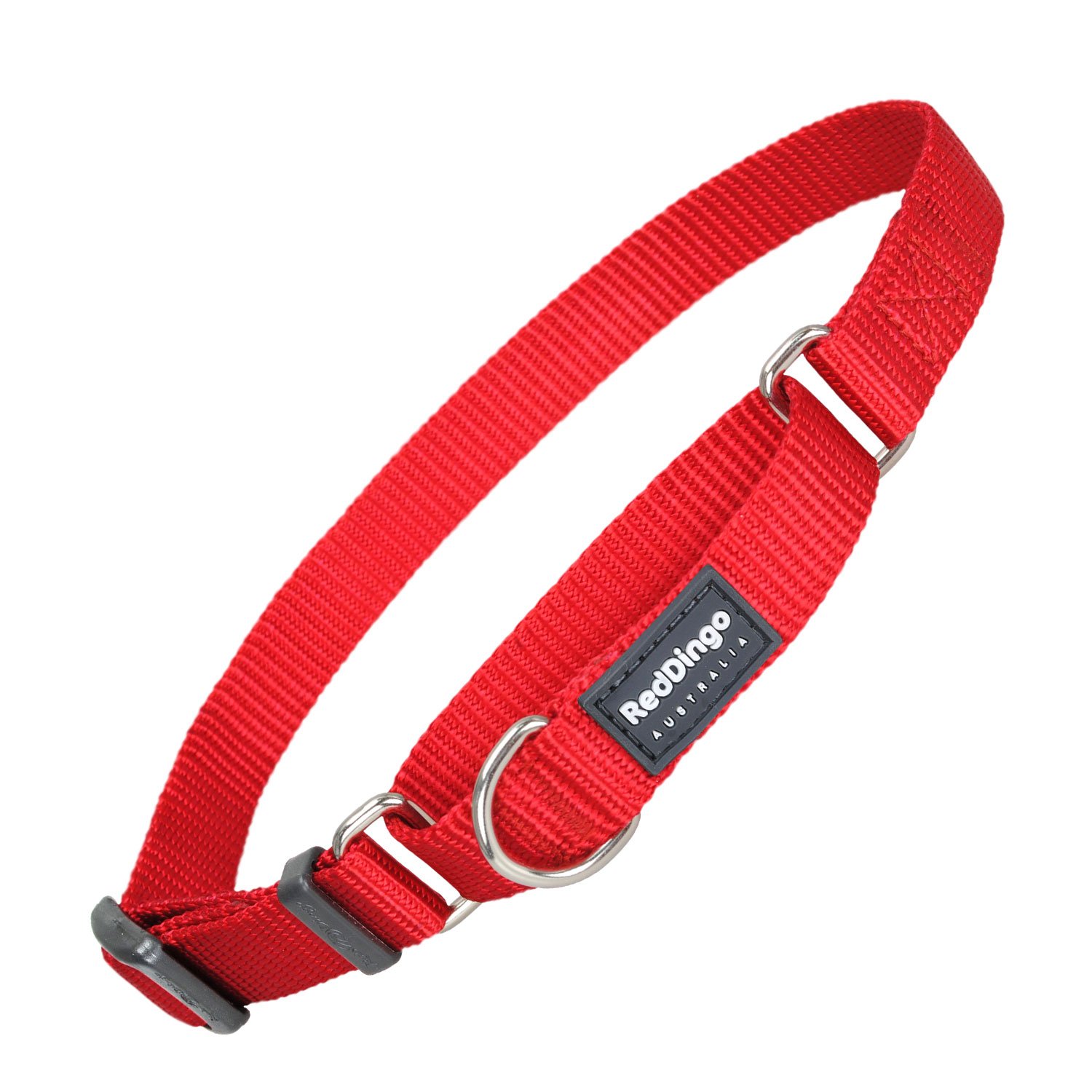 red dingo martingale collar