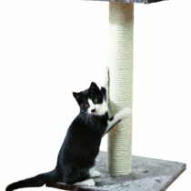 Trixie Espejo Scratching Post, 69 cm, Platinum Grey