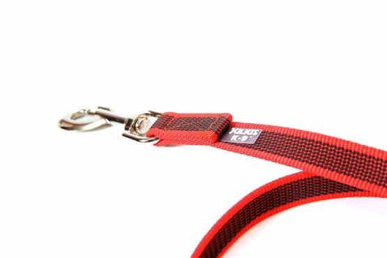 Julius-K9 Color and Gray Super-grip leash with handle, 20 mm x 2 m, red-gray - Image 4