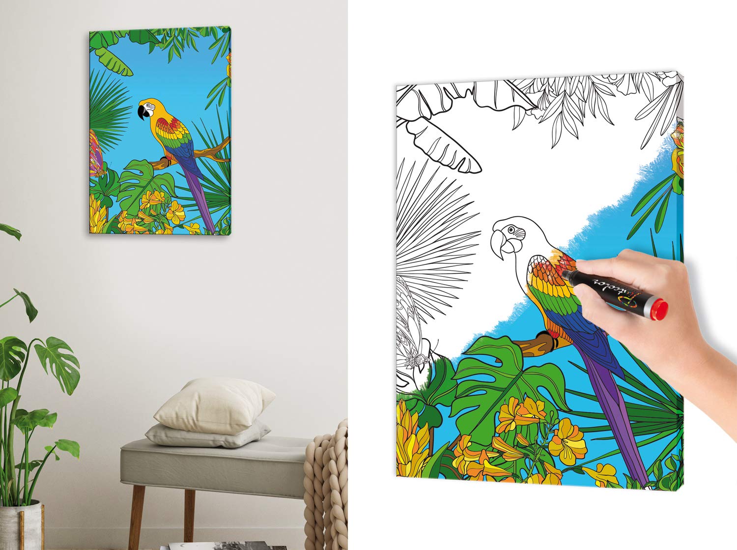 Pintcolor 7807.0 Frame with Printed Canvas for Coloring Fir Wood, Cotton, White/Black, 40 x 50 x 3.5 cm, 100% Made in Italy - Image 3