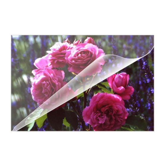 Laminating Pouches Set of 100 - Image 4