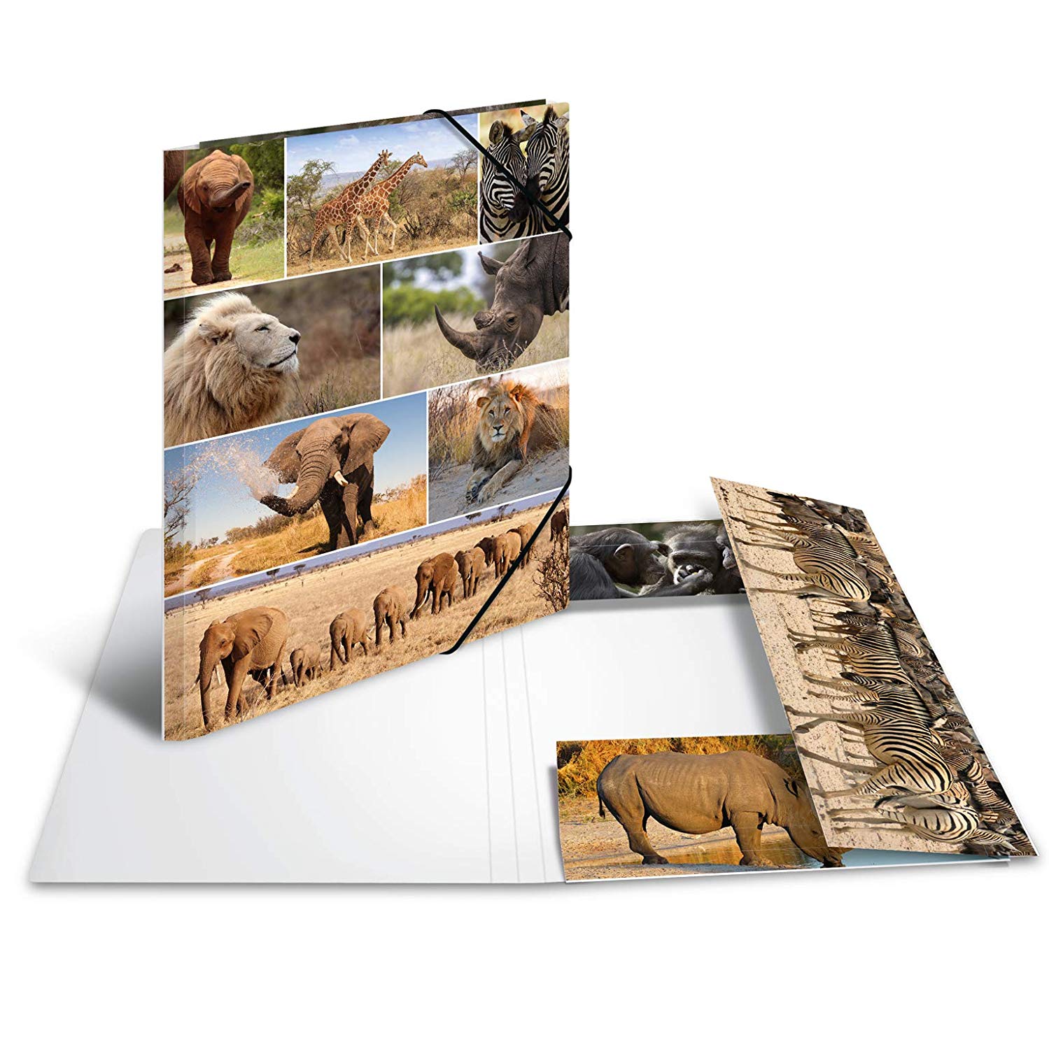 HERMA Elastic Folder Animals, Assorted Colourful Designs, A3, Sturdy Cardboard, with Inner Print, Pack of 10 - Image 3