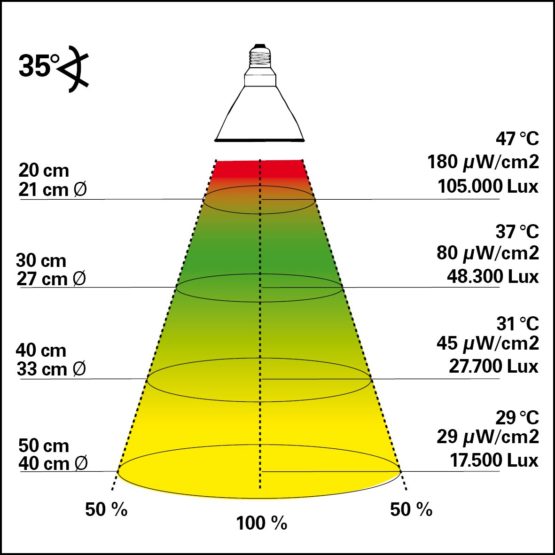 Lucky Reptile - Bright Sun UV Jungle 50 W complete set, metal halide lamp including matching socket and ballast - Image 2