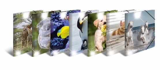 HERMA Elastic Folder Animals, Assorted Colourful Designs, A3, Glossy Plastic, with Inner Print, Pack of 10