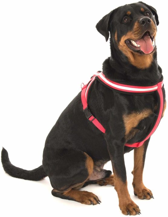 COA Comfy Harness, Large - Image 2