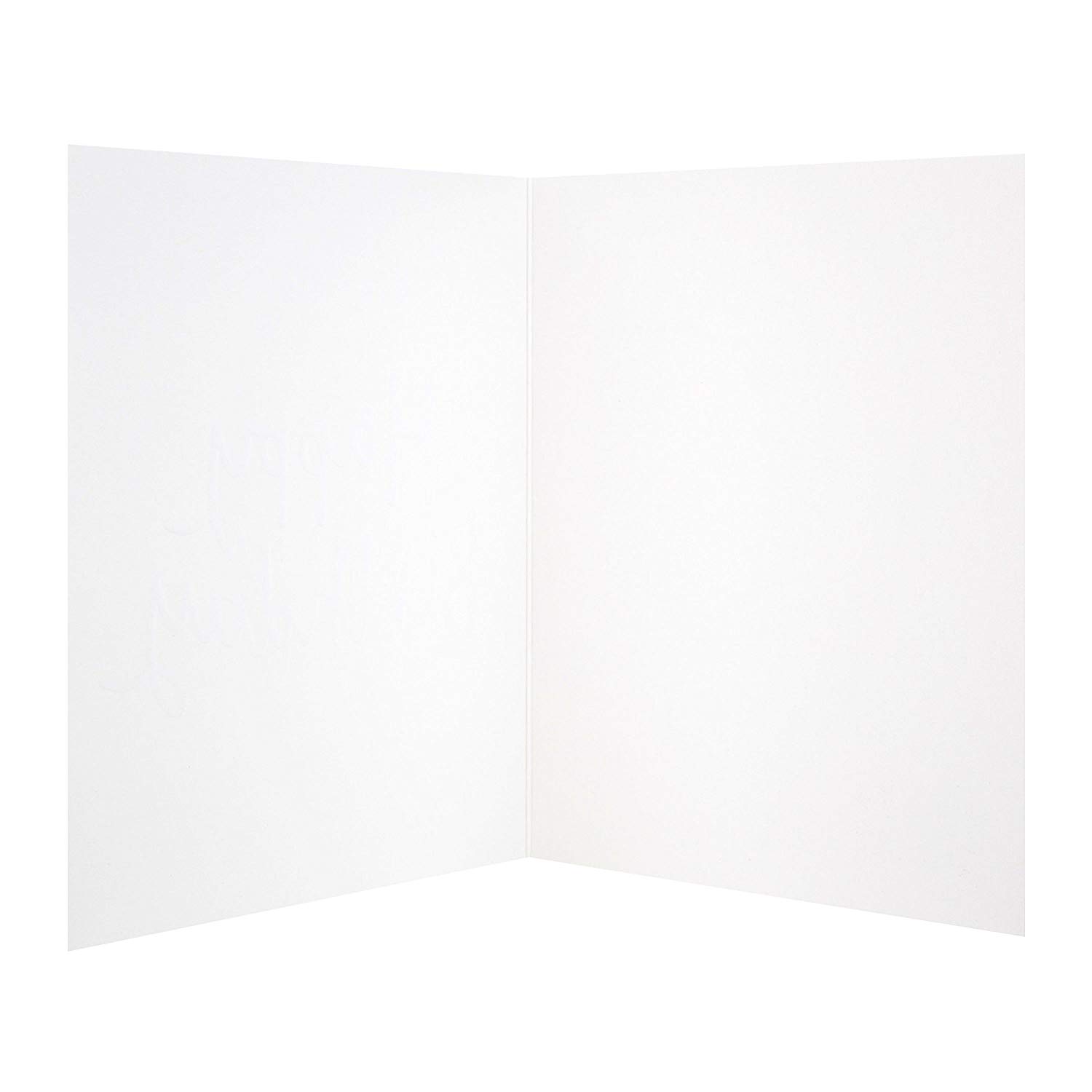 Hallmark 25507945 Birthday Studio Card "Blank" - Small, Pink - Image 3