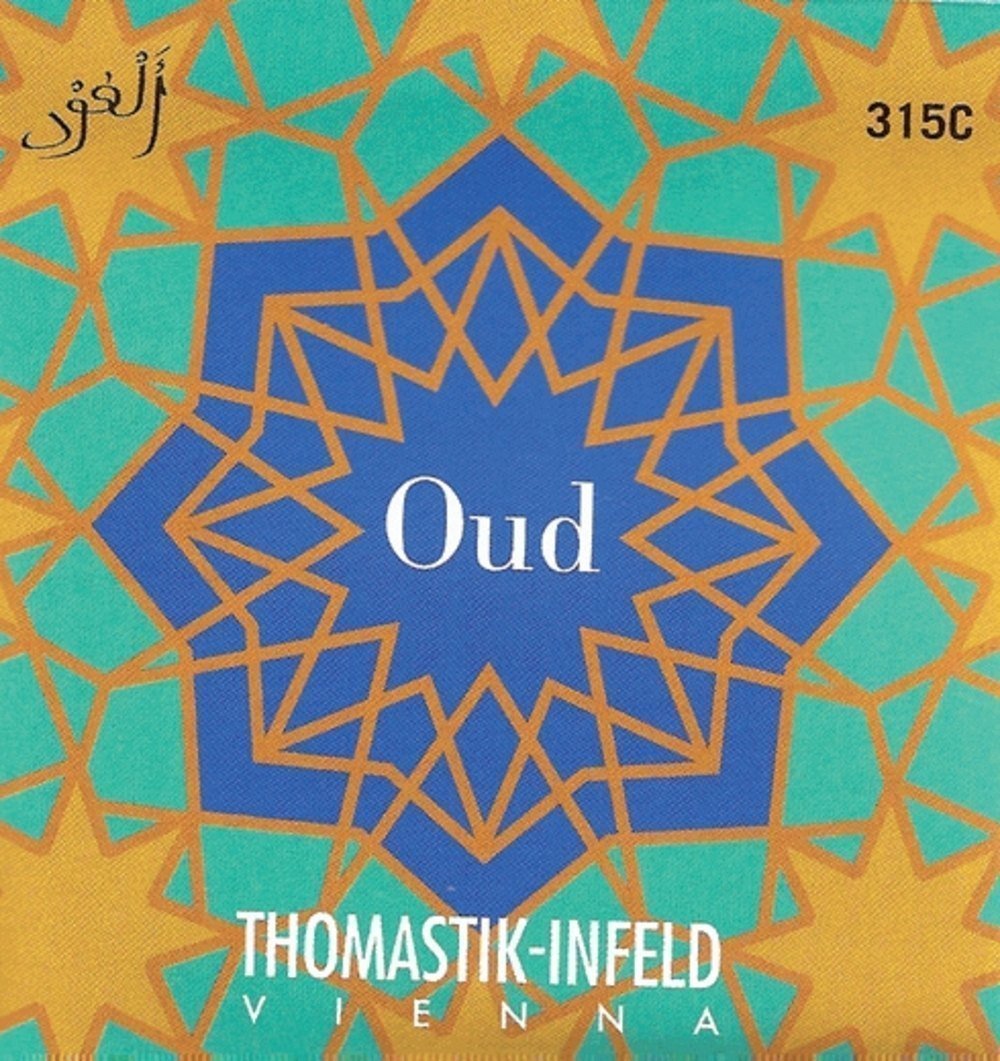 Thomastik Saiten für Arabische Aoud Satz 10-saitig mit D-Saiten blank, Silver