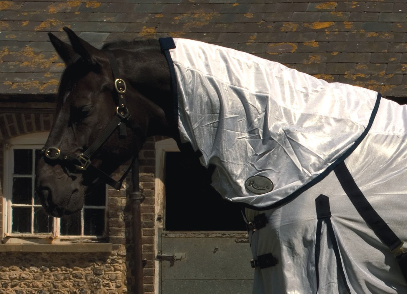 Rhinegold Fly Rug With Neck Cover-6/6-White, 6'6" - Image 2