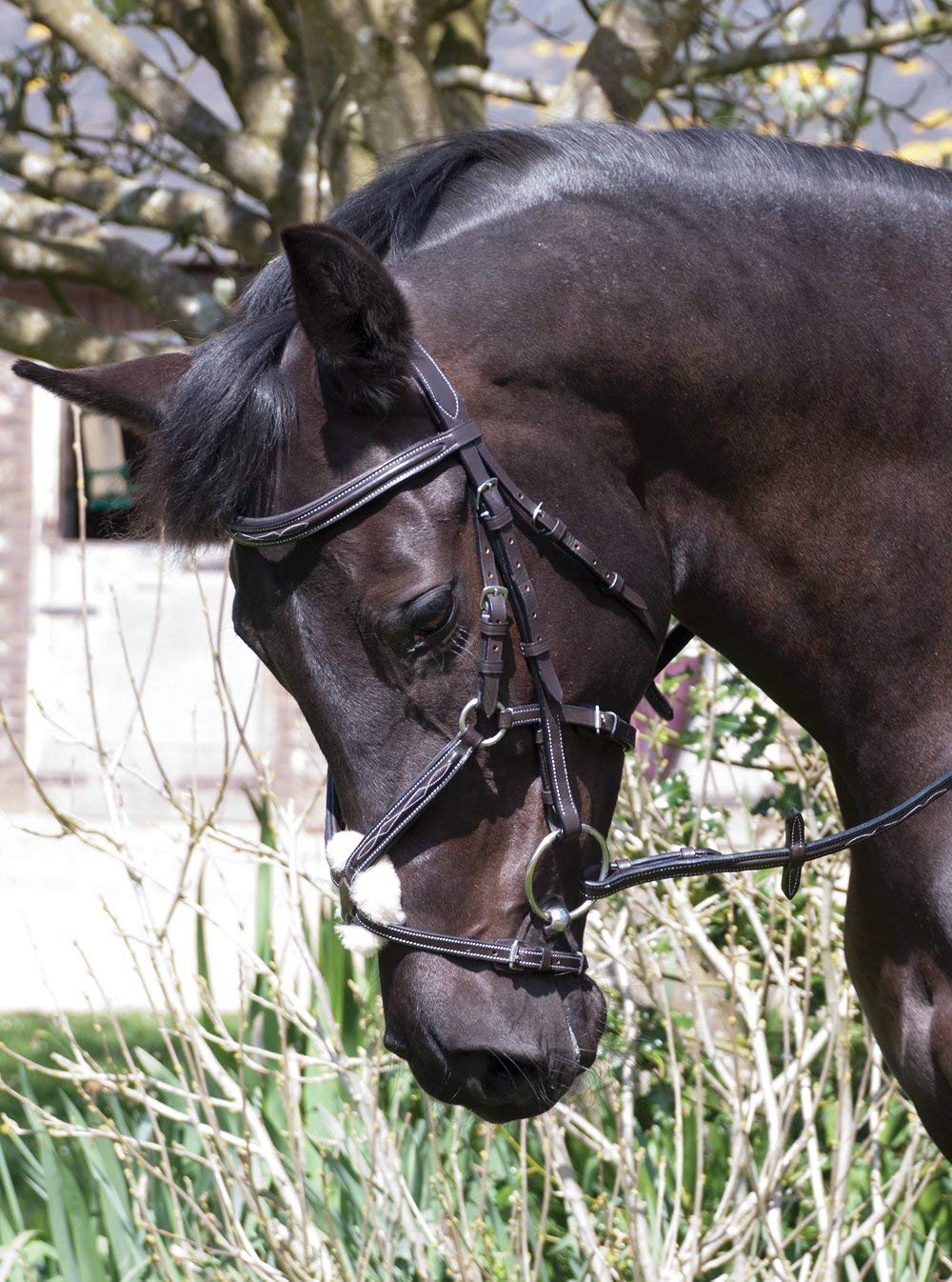 Rhinegold Elegance Stitched Mexican Bridle-Cob-Black