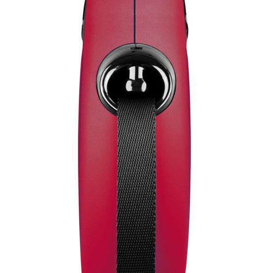 Flexi - L strap new classic belt 5 m - Image 2