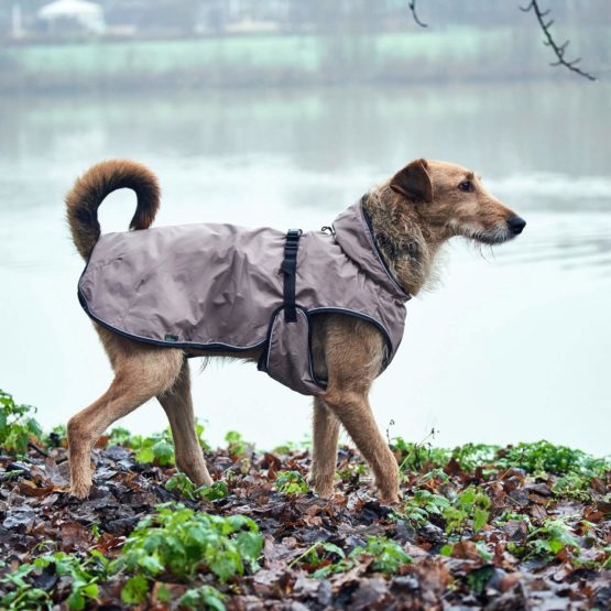 HUNTER Uppsala Dog Coat, 70 cm, Taupe - Image 4