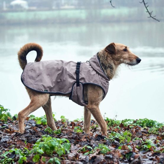 HUNTER Uppsala Dog Coat, 45 cm, Taupe - Image 4