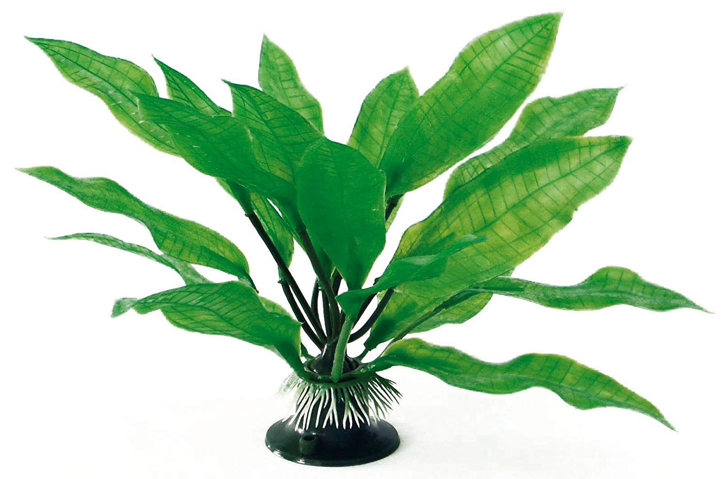 WAVE Echinodorus Bleheri Plant Classic, Large, Grün