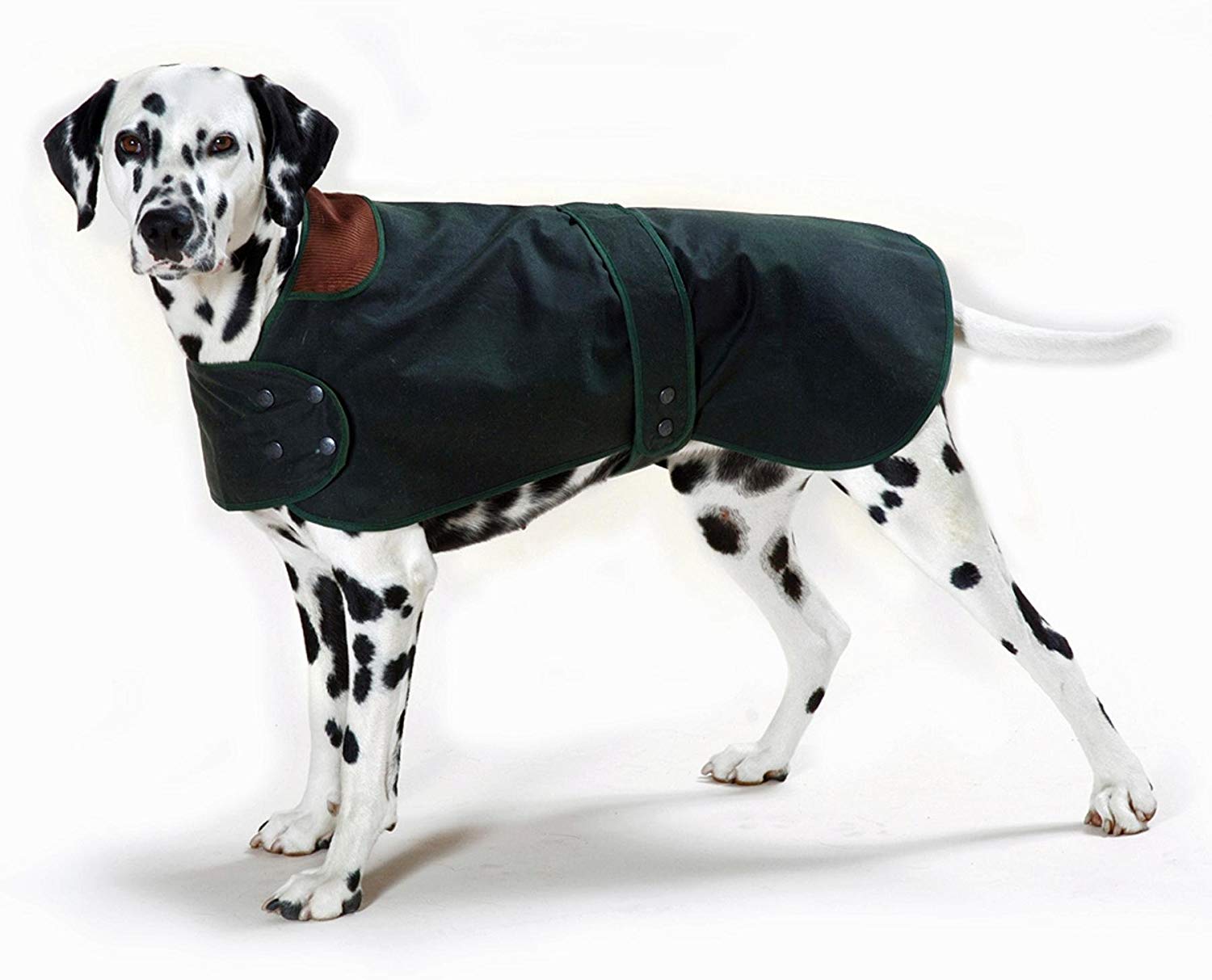 Cosipet Hunter Coat, 18-inch/ 46 cm, Green, 18-inch/46 cm