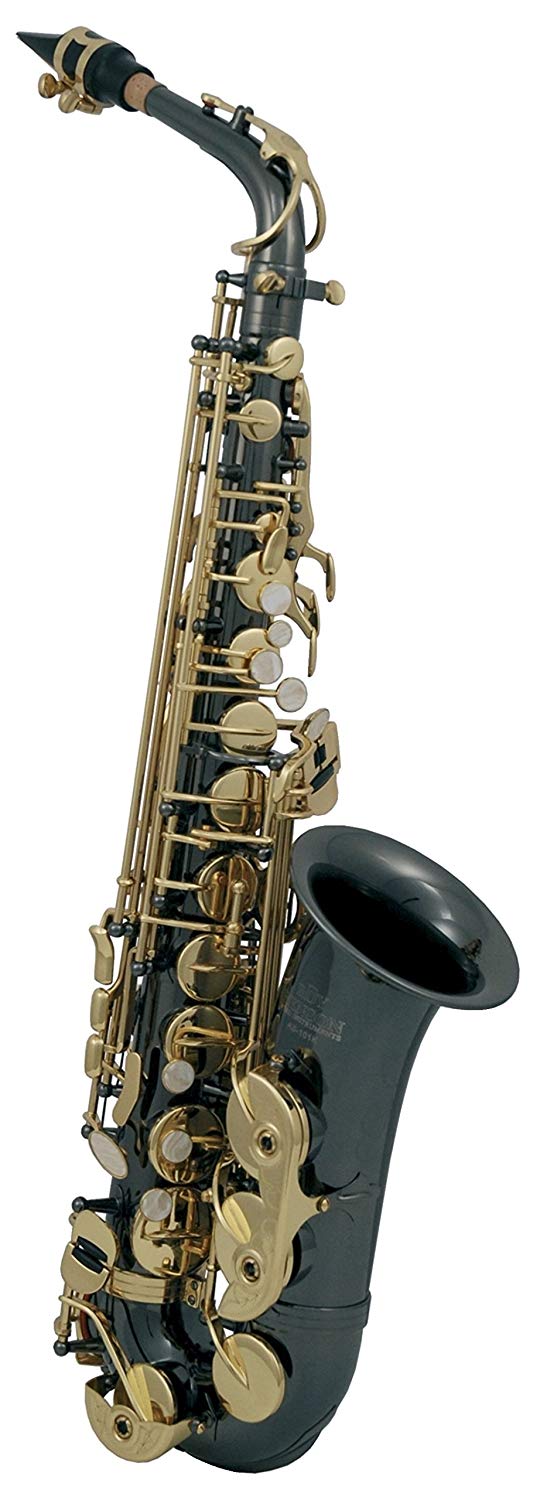 Roy Benson RB700603 Eb-Alt Saxophon MOD.AS-202K schwarz lackiert, inkl. leichtem Rechtecketui, GEWA