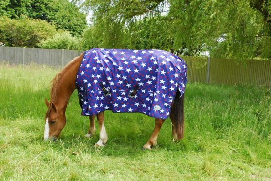 Rhinegold Star Torrent Outdoor Rug-Lightweight No fill