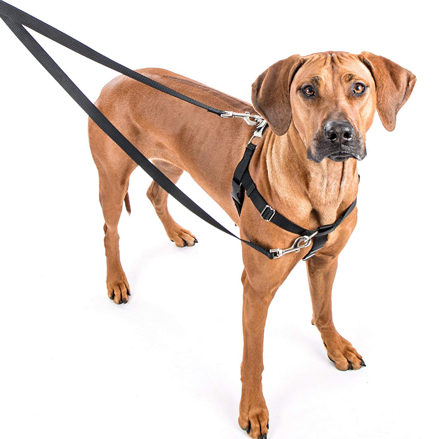 2 Hounds Design Freedom No-Pull Harness Only, 5/8-Inch, Small, Raspberry - Image 2