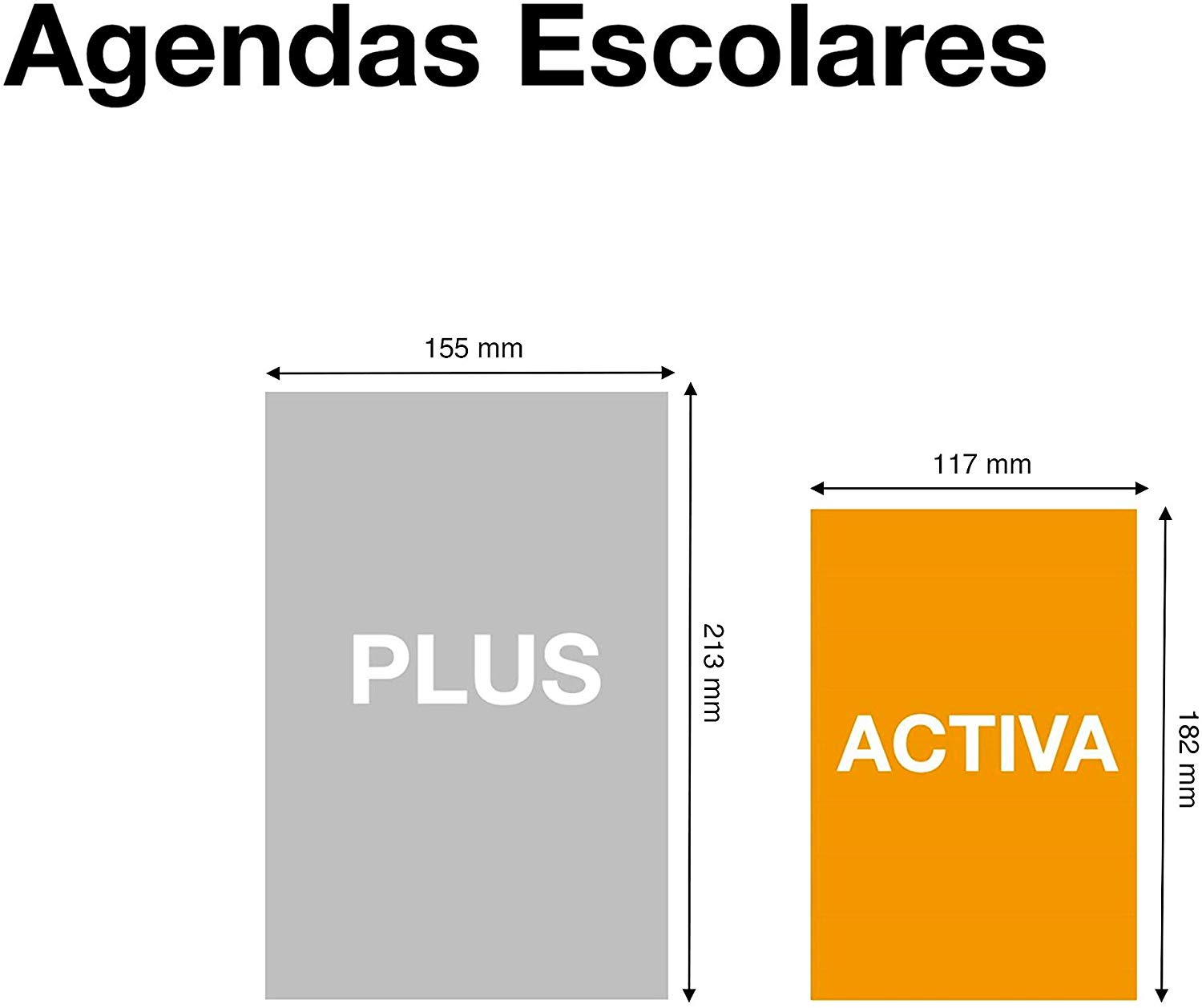 Miquelrius School Agenda with Spiral 2019 2020 Day Page Shiny Catalan 117 x 182 mm, Glänzend - Image 4