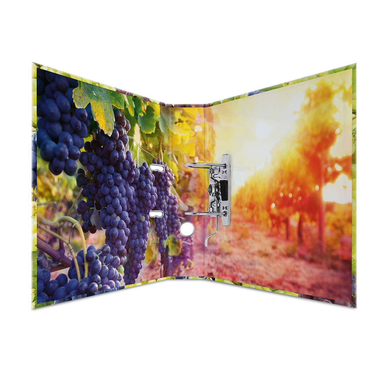 HERMA Lever Arch File Fruits with Grapes Motif, A4, 70 mm Spine, with Inner Print, 1 Folder