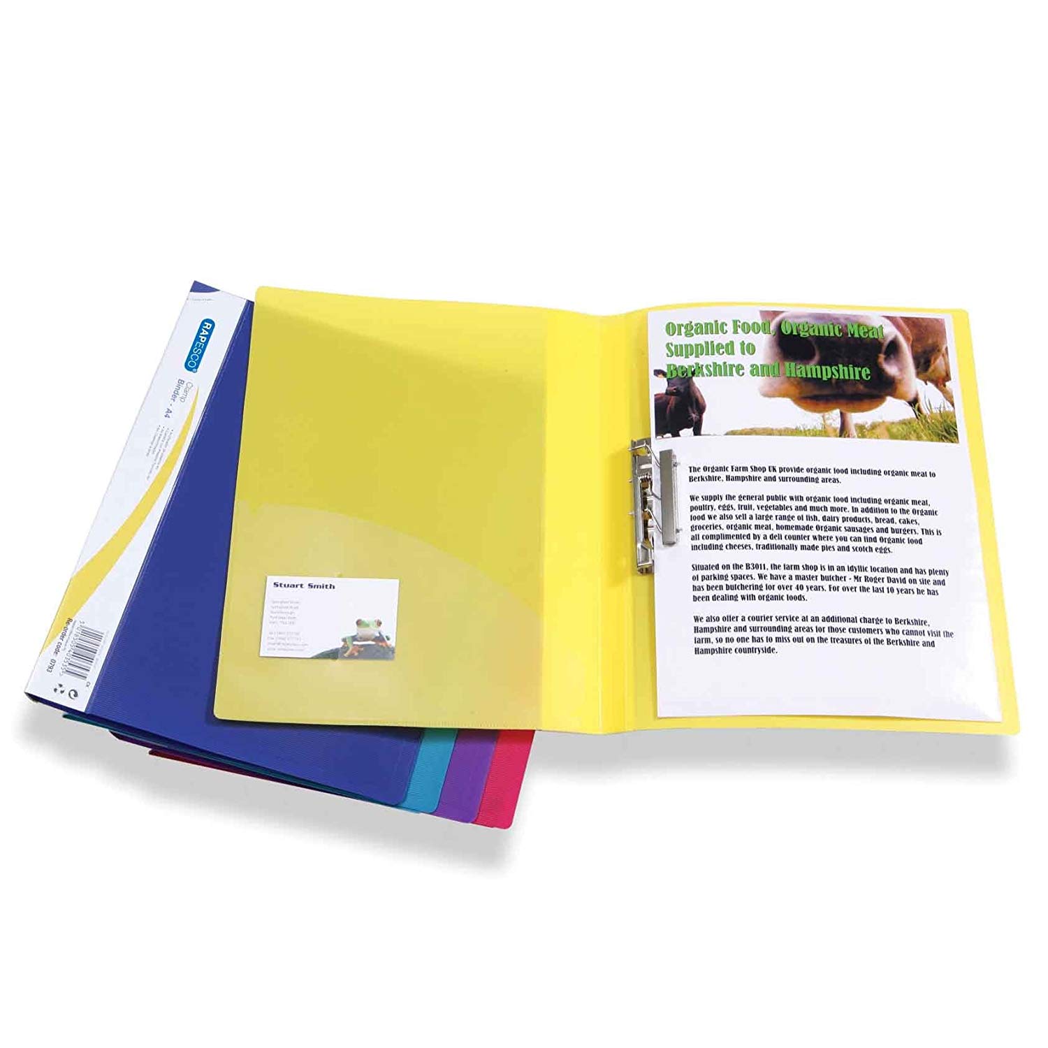 Rapesco 0793 Punchless Clamp Binder Folder, A4, Assorted Colours, Pack of 10