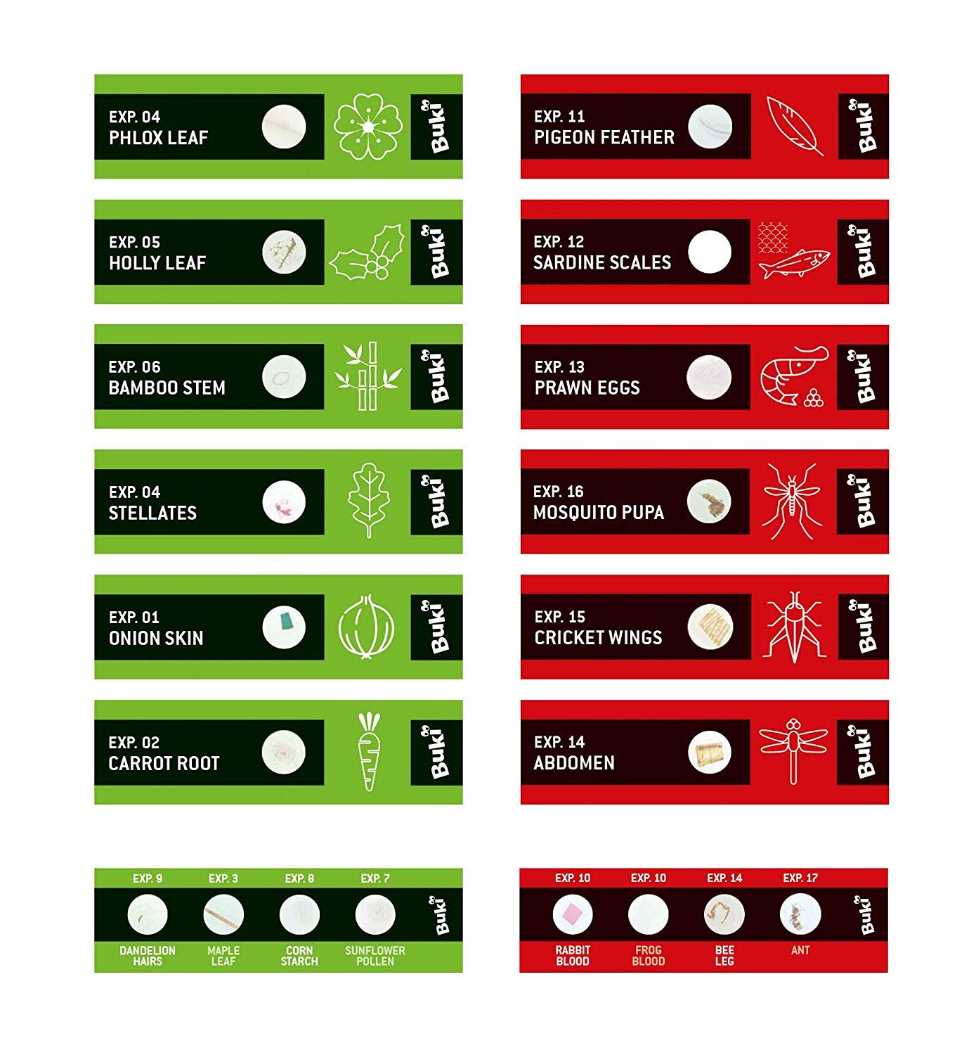 BUKI France MR001 - Microscope Slides, Red - Image 4