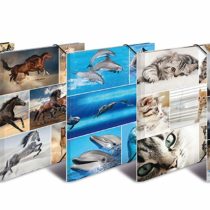 HERMA Elastic Folder Animals, Assorted Colourful Designs, A4, Sturdy Cardboard, with Inner Print, Pack of 10