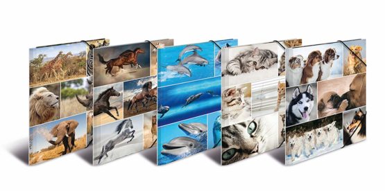 HERMA Elastic Folder Animals, Assorted Colourful Designs, A4, Sturdy Cardboard, with Inner Print, Pack of 10