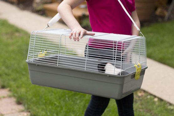 PREVUE PET PRODUCTS Universal Pet Carrier, Gray - Image 4