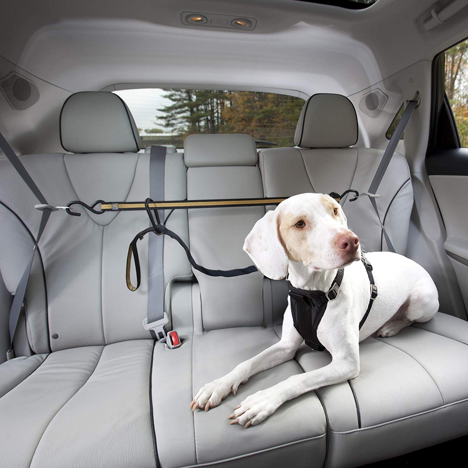 Kurgo Auto ZipLine for Dogs Dog Safety Restraint for Car Boat or Campsite, Quick & Easy Installation, Adjustable Length, Black/Orange