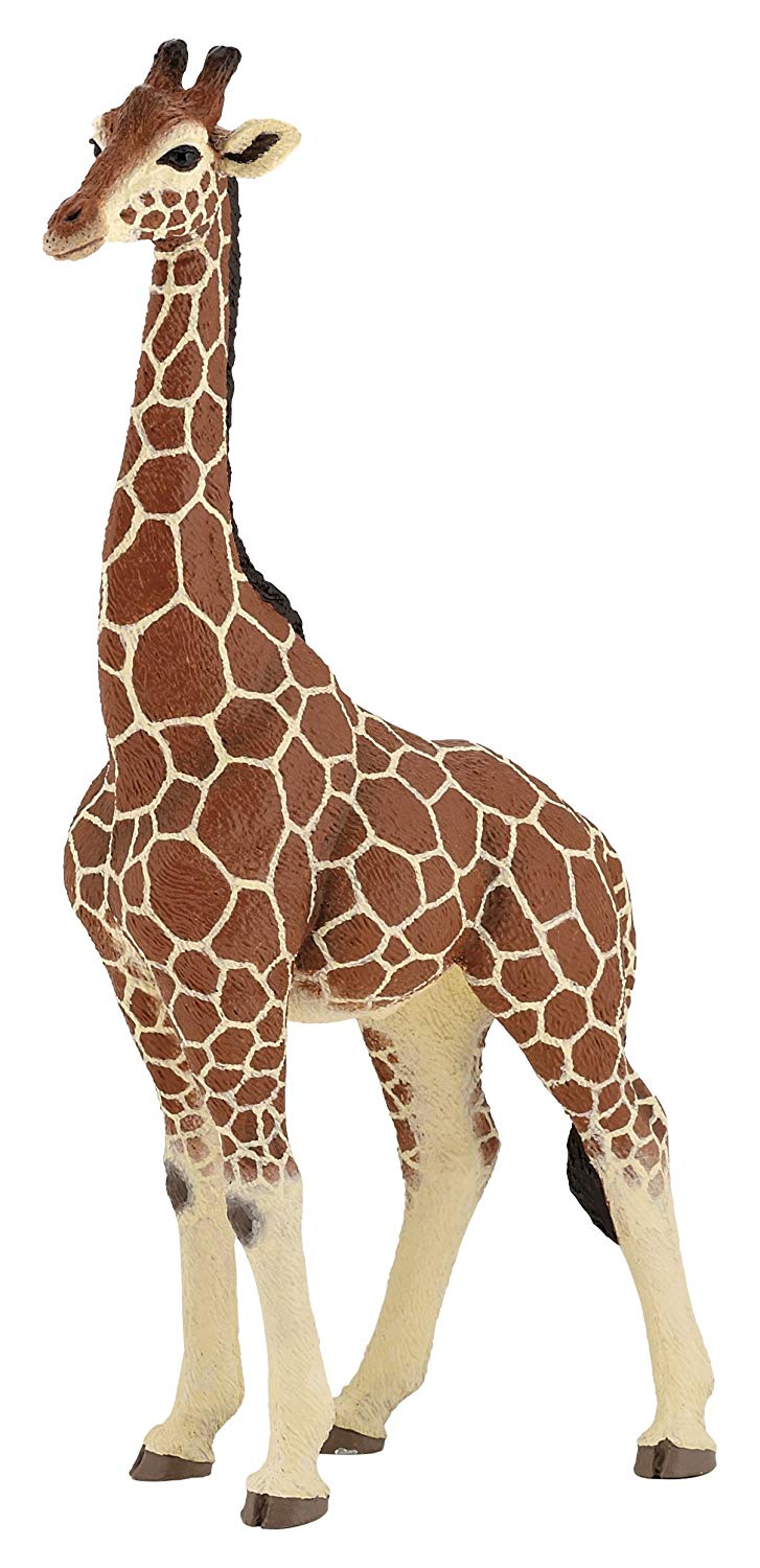 Papo, Realistic Male Giraffe Figure Toy for Kids, Ages 3+, Wild Life Collection, Educational Play Animal Discovery