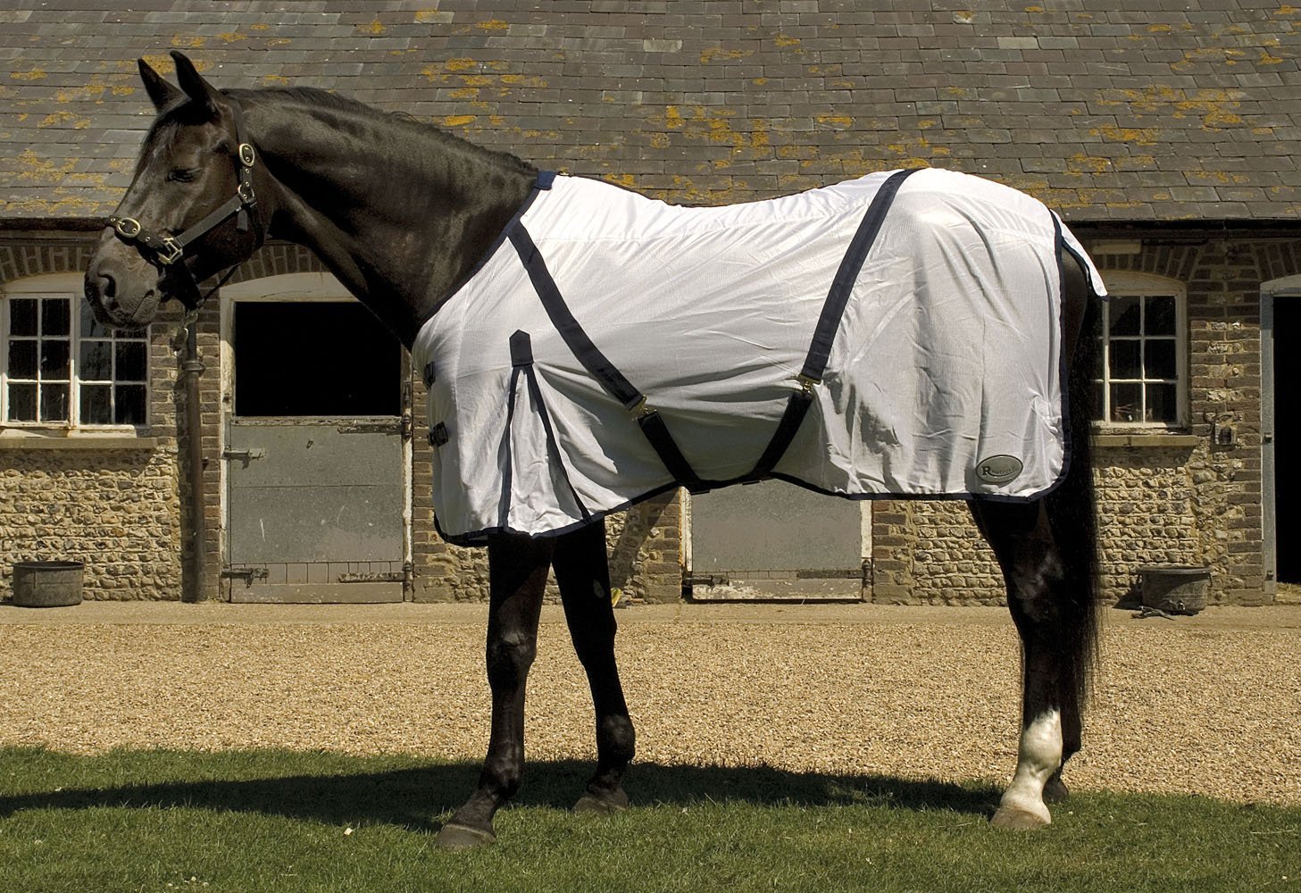 Rhinegold Fly Rug With Neck Cover-6/6-White, 6'6"