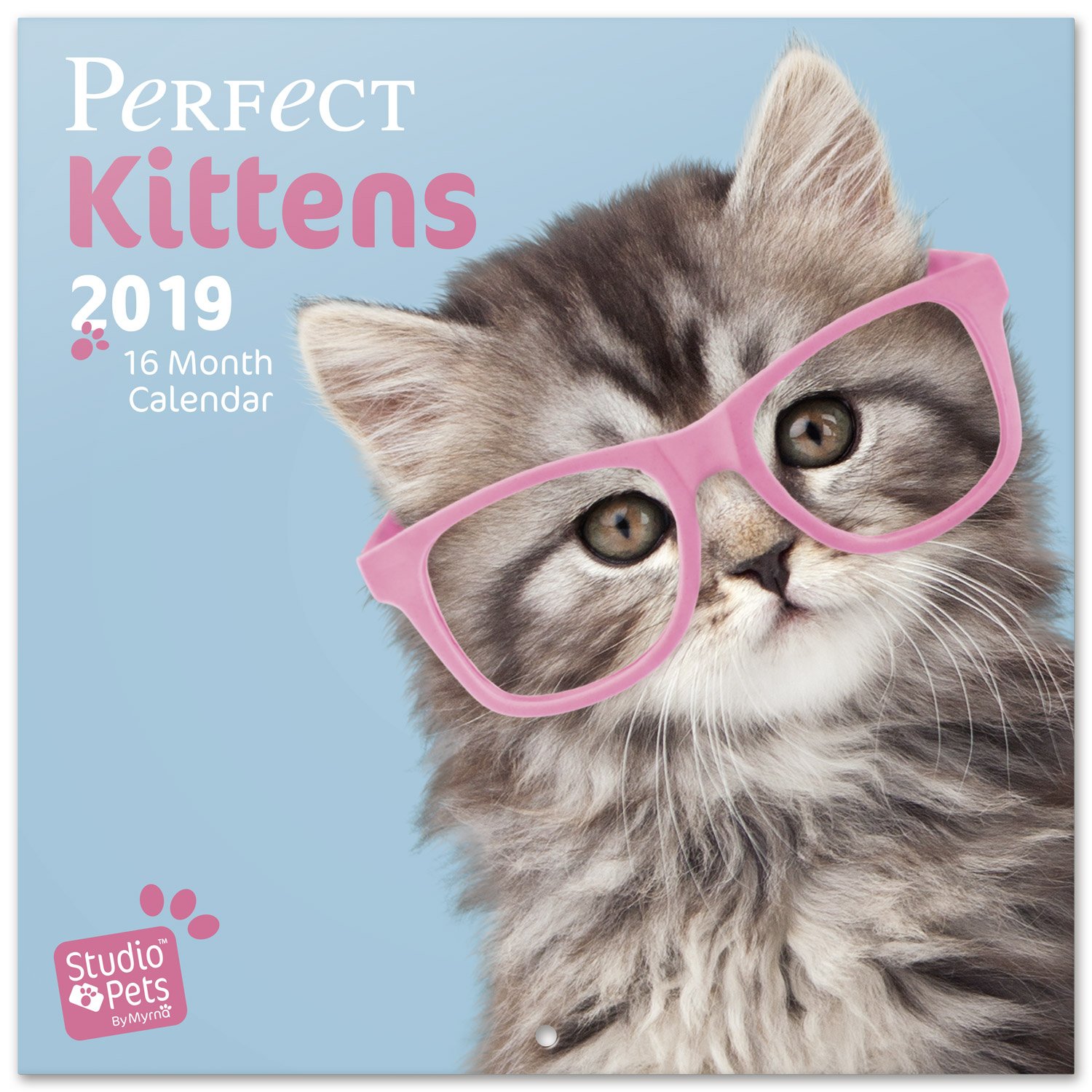 Grupo Erik editores Studio Pets Calendar with Cats Design, 30 x 30 cm