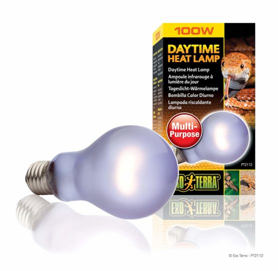 Exo Terra A21 PT2112 Daytime Heat Lamp, 100 Watt - Image 3