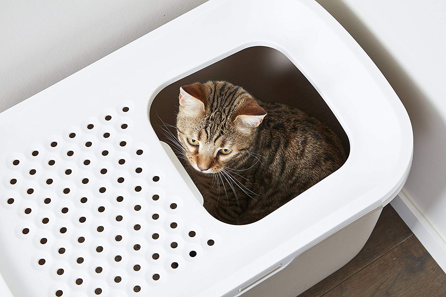 Savic cat litter tray Hop In - beige - top entry - anti-tracking - contemporary design - 58.5x39x39.5 cm - Image 4