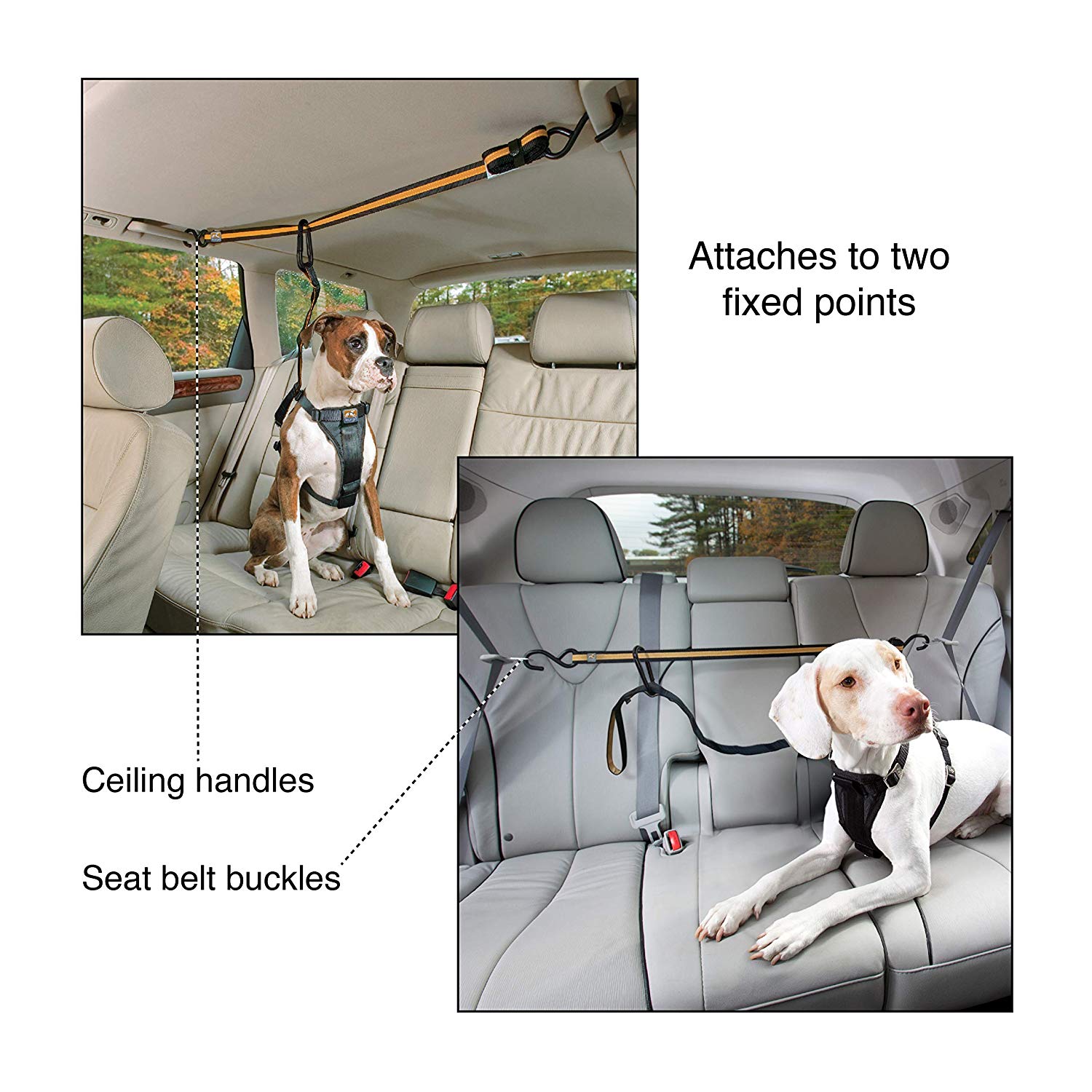 Kurgo Auto ZipLine for Dogs Dog Safety Restraint for Car Boat or Campsite, Quick & Easy Installation, Adjustable Length, Black/Orange - Image 3