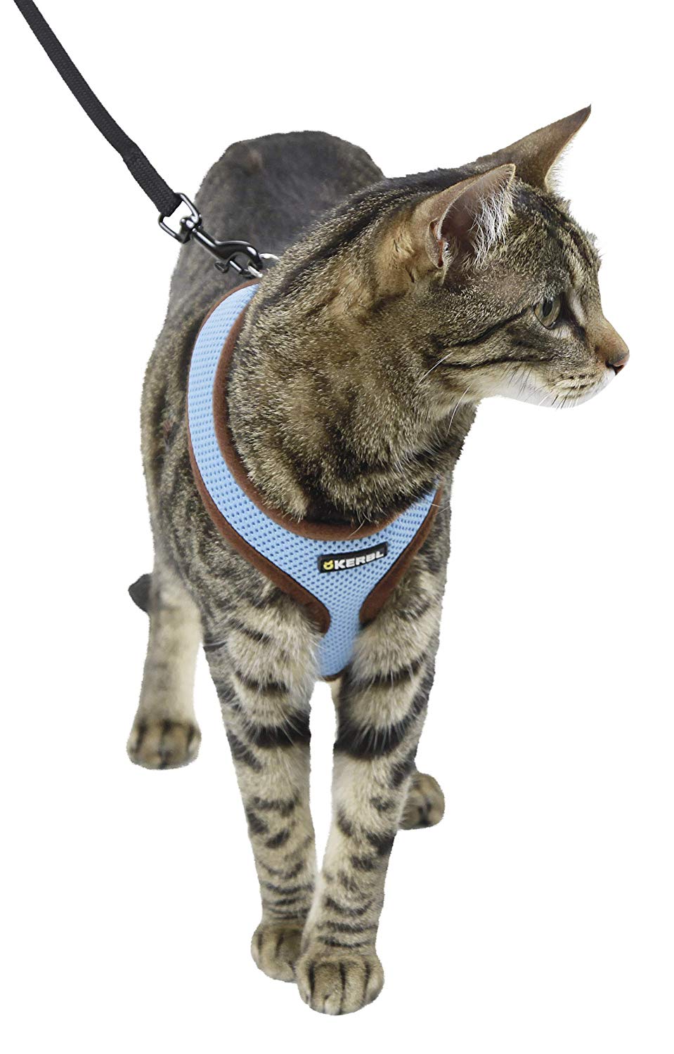 Cat Harness Activ, Blue, Small - Image 3