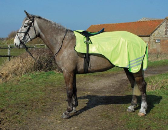Rhinegold 3/4 Length Cutaway Ride-On Rug