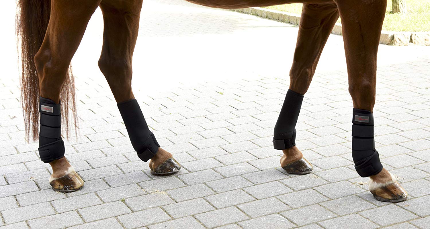 Kerbl 320133 Fetlock Boots Synthetic Rubber WB Set of 4 Black, warmblood - Image 2