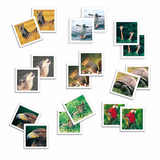 Diset - 68941 - Photo Memo - Image 3