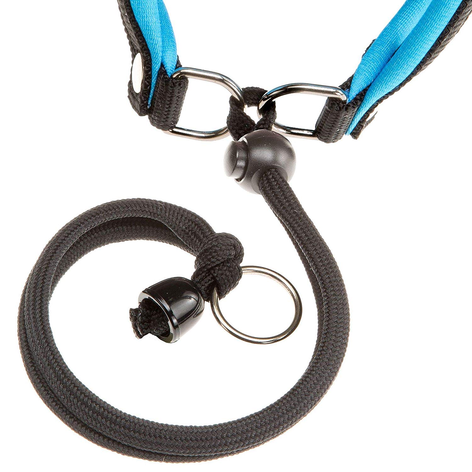 Ferplast Harness for Medium-Sized Dogs AGILA FLUO 4 Dog Harness with Soft Padding, Quick Release and Attachment System - Image 2