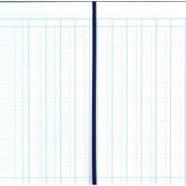 Exacompta Guildhall Account Book, 298x203mm, 12 Cash Columns