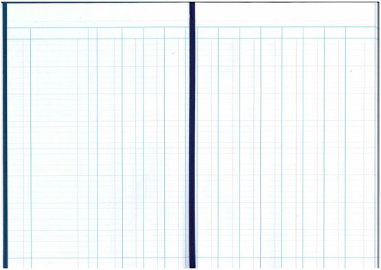 Exacompta Guildhall Account Book, 298x203mm, 12 Cash Columns