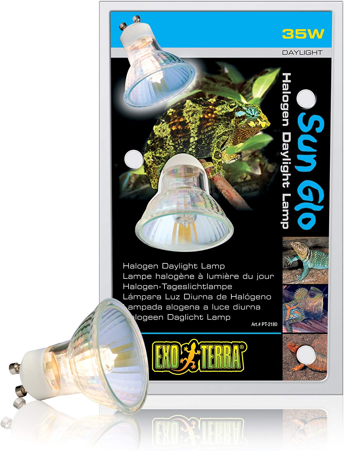 Exo Terra 35 w Sun Glo Halogen Basking Spot Bulb, White, 35 Watt - Image 4