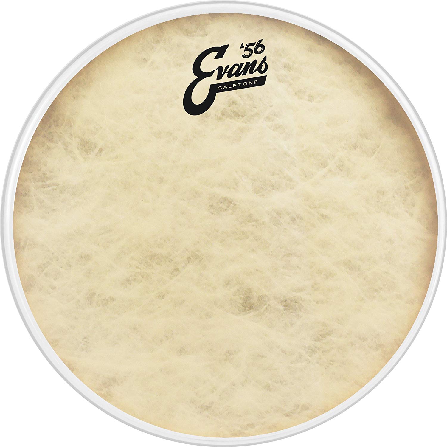 Evans Drum Heads - Calftone Tom Drumhead, 14 Inch, 14" - Image 2