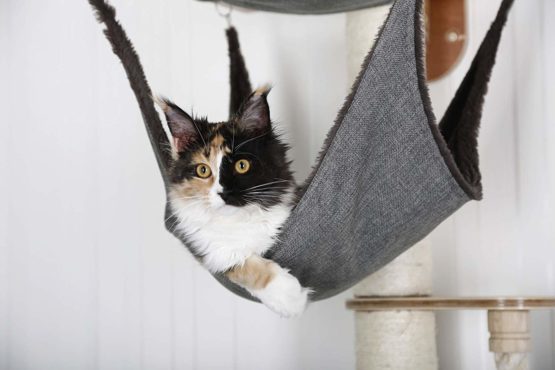 Kerbl Dolomit Tofana Pro Wall-Mounted Cat Tree, 140 x 75 cm, Grey - Image 4