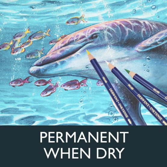 Derwent Inktense Permanent Watersoluble Pencils, Drawing & Painting, Set Of 48 In Wooden Gift Box, Ideal For Layering & Use On Fabrics, Professional Quality, 2300151 - Image 4