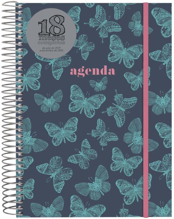 Agenda 18 Months 2019-2020 2 Days Spanish Page